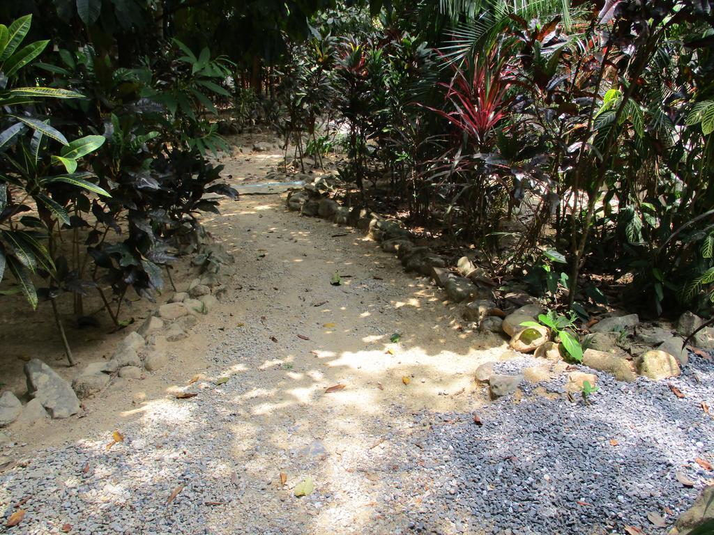 Khaosok Island Resort Khao Sok National Park Bagian luar foto