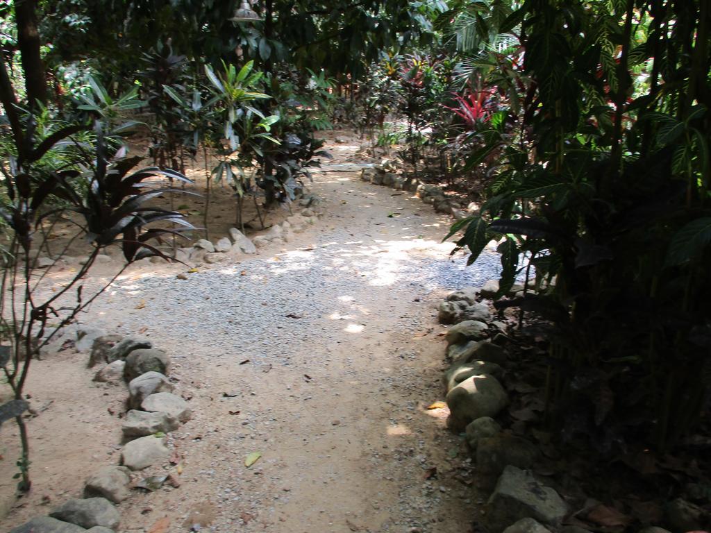 Khaosok Island Resort Khao Sok National Park Bagian luar foto