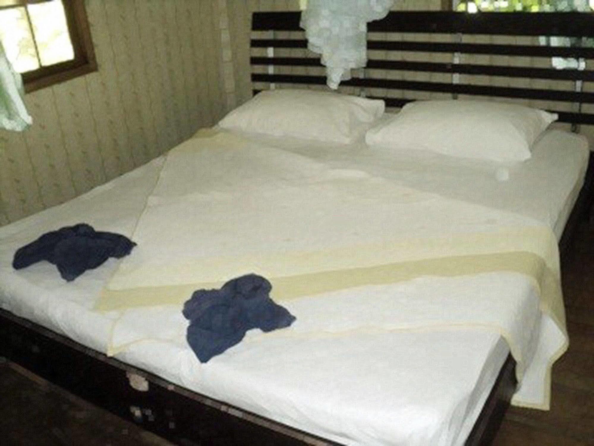 Khaosok Island Resort Khao Sok National Park Bagian luar foto
