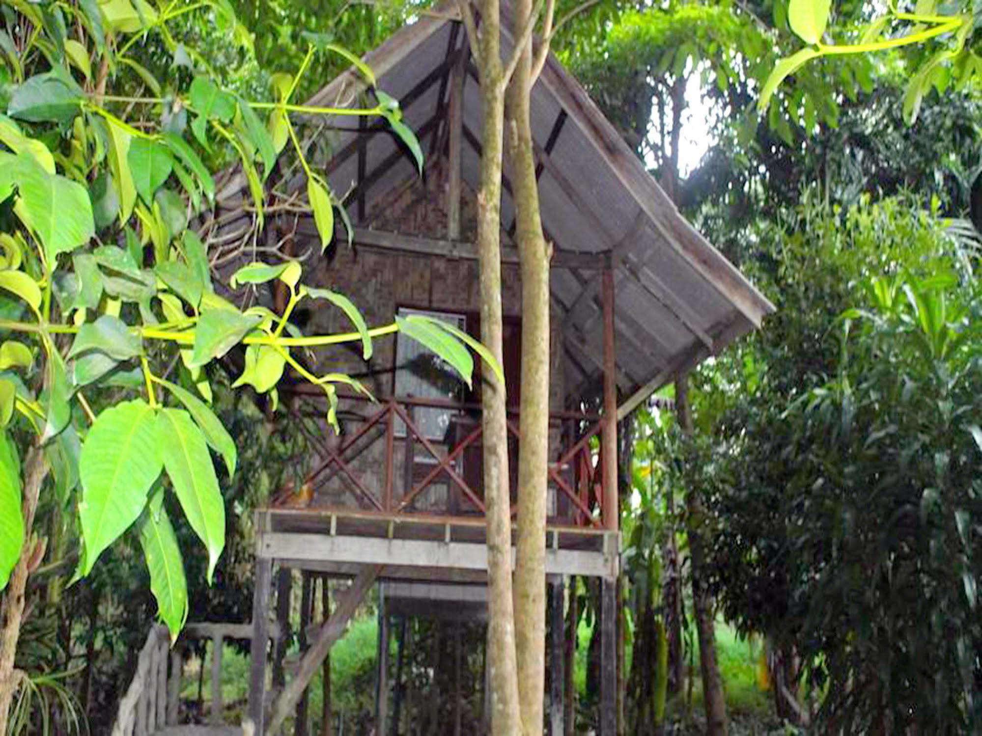 Khaosok Island Resort Khao Sok National Park Bagian luar foto