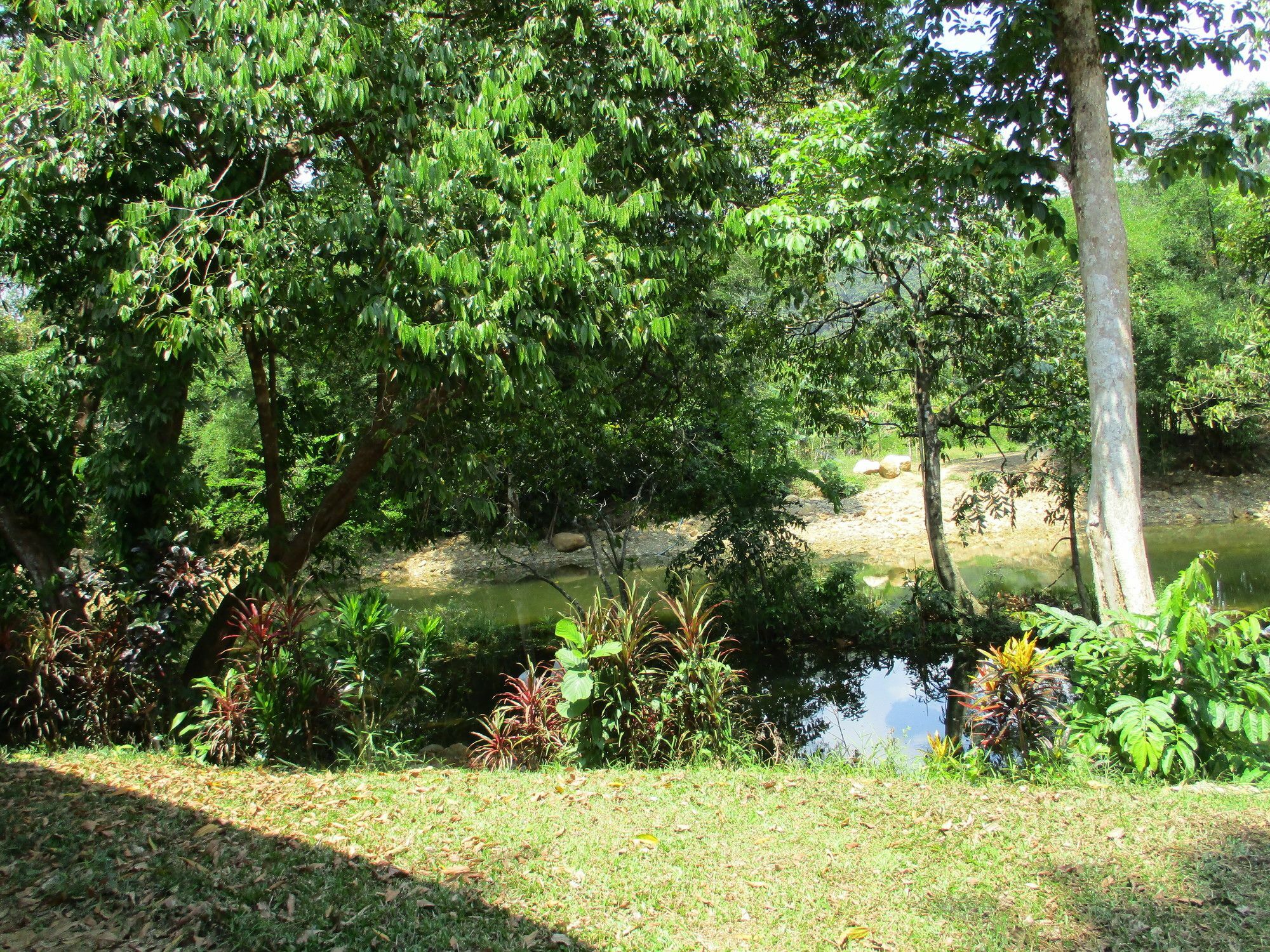 Khaosok Island Resort Khao Sok National Park Bagian luar foto